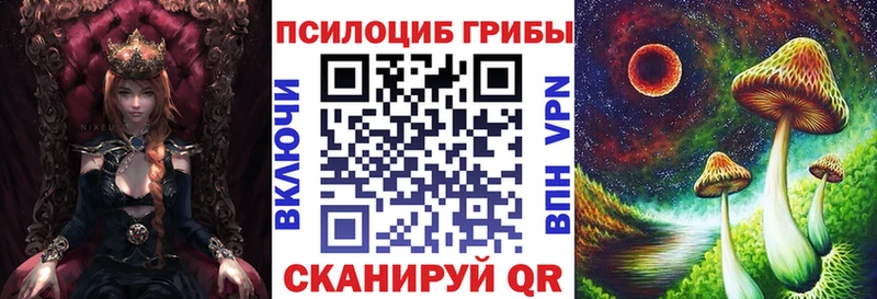 Купить закладки  Курганинск  Псилоцибиновые грибы Magic Shrooms 