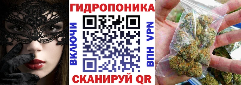 Купить  Курганинск  МАРИХУАНА SATIVA & INDICA 